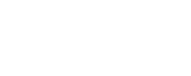 Madnezz